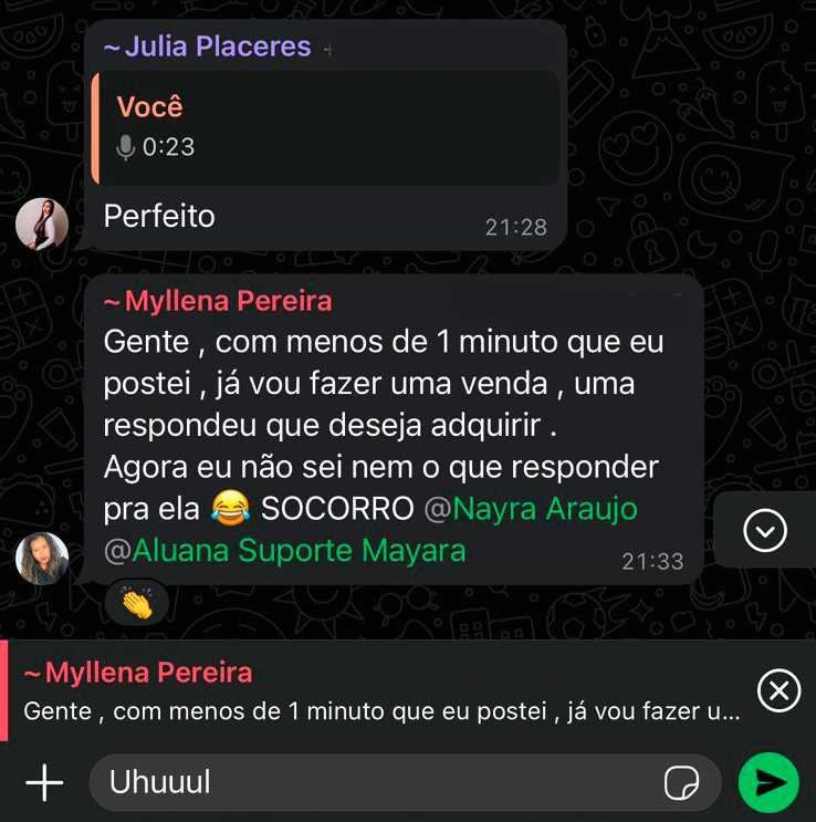 Camada 6